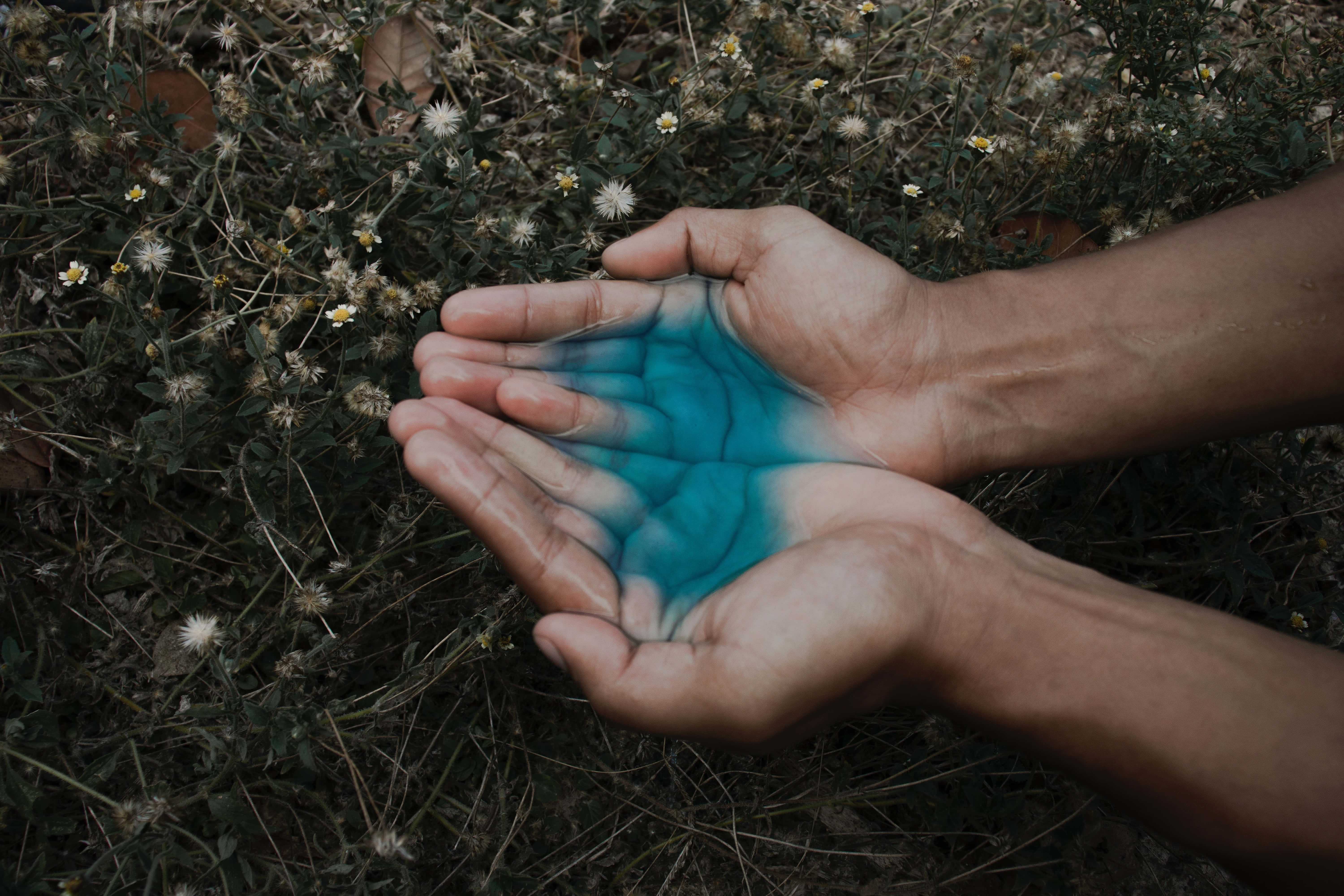 hands 桌布 壁紙 — 兩隻手捧著發光的藍色液體，背景是乾草和小白花。