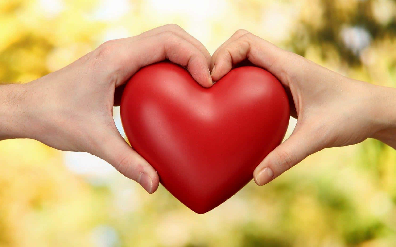 Beautiful Love 桌布 壁紙 — 兩隻手輕輕捧著一個亮面紅色心形，背景是柔和的金色散景。