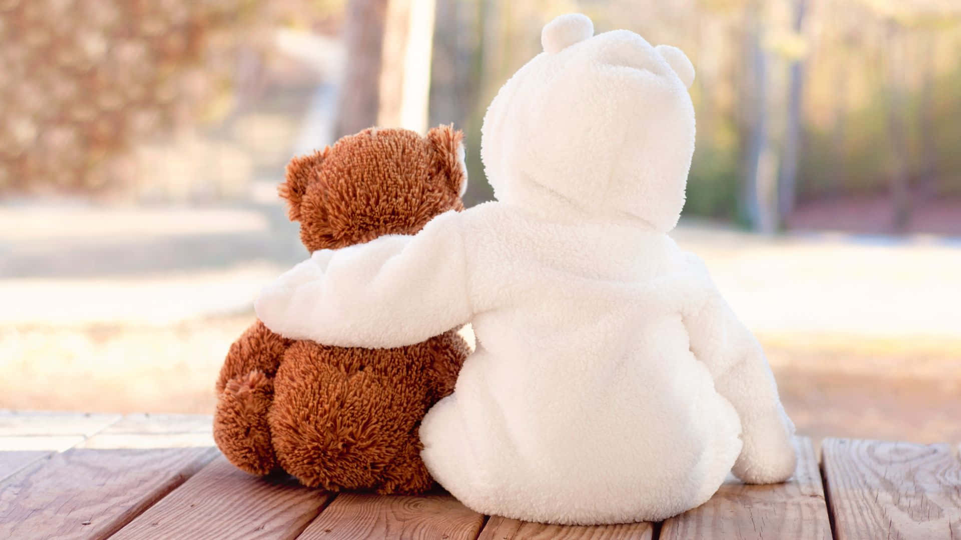 Best Friend 桌布 壁紙 — 兩隻毛絨泰迪熊，一棕一白，背對背坐在木長椅上，在溫暖的秋日公園裡互相擁抱。