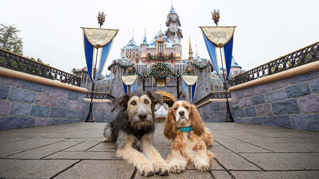 lady and the tramp 桌布 壁紙 — 兩隻狗在石鋪路面上休息，前方是一座節日城堡，掛有藍色旗幟和節日花環。
