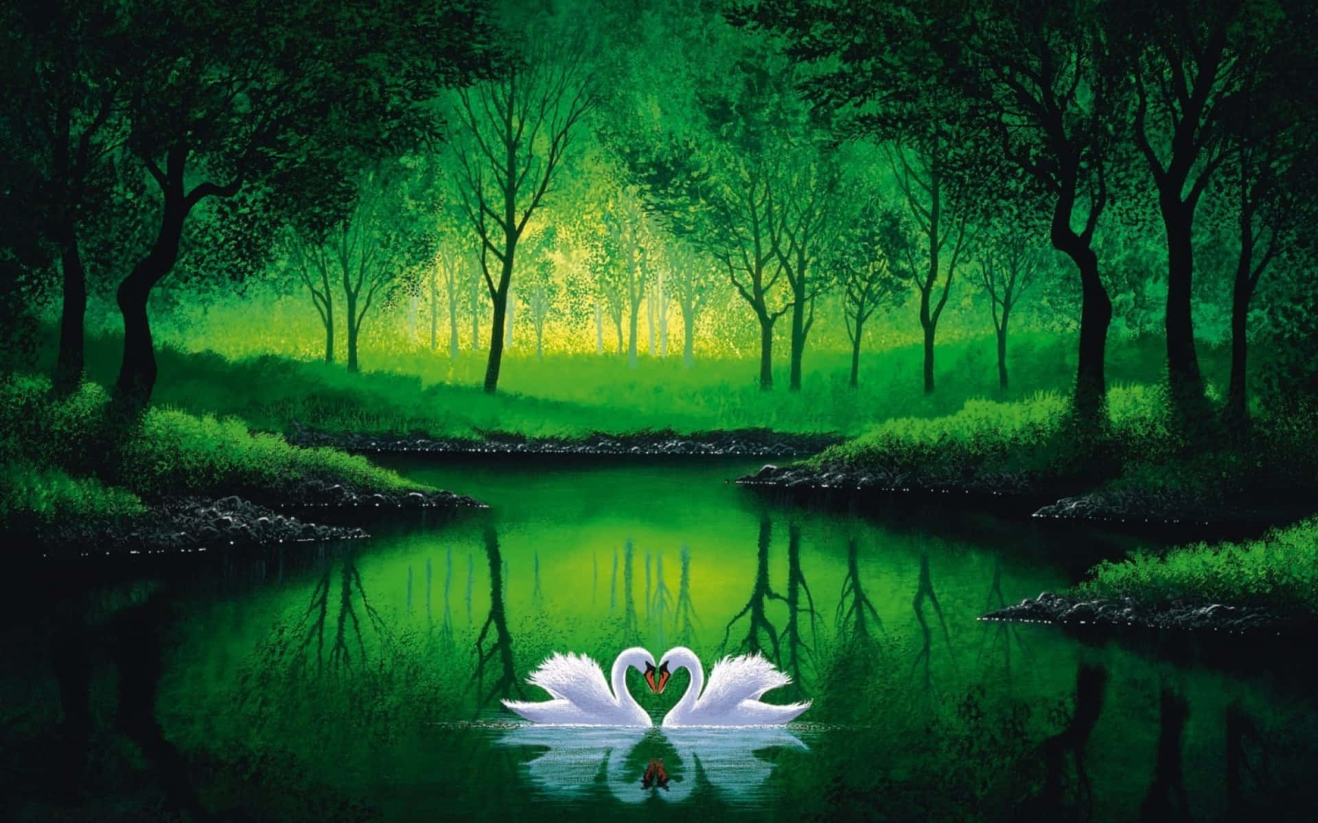 Pond 桌布 壁紙 — 兩隻白天鵝在茂密森林環繞的發光綠色池塘上形成心形。