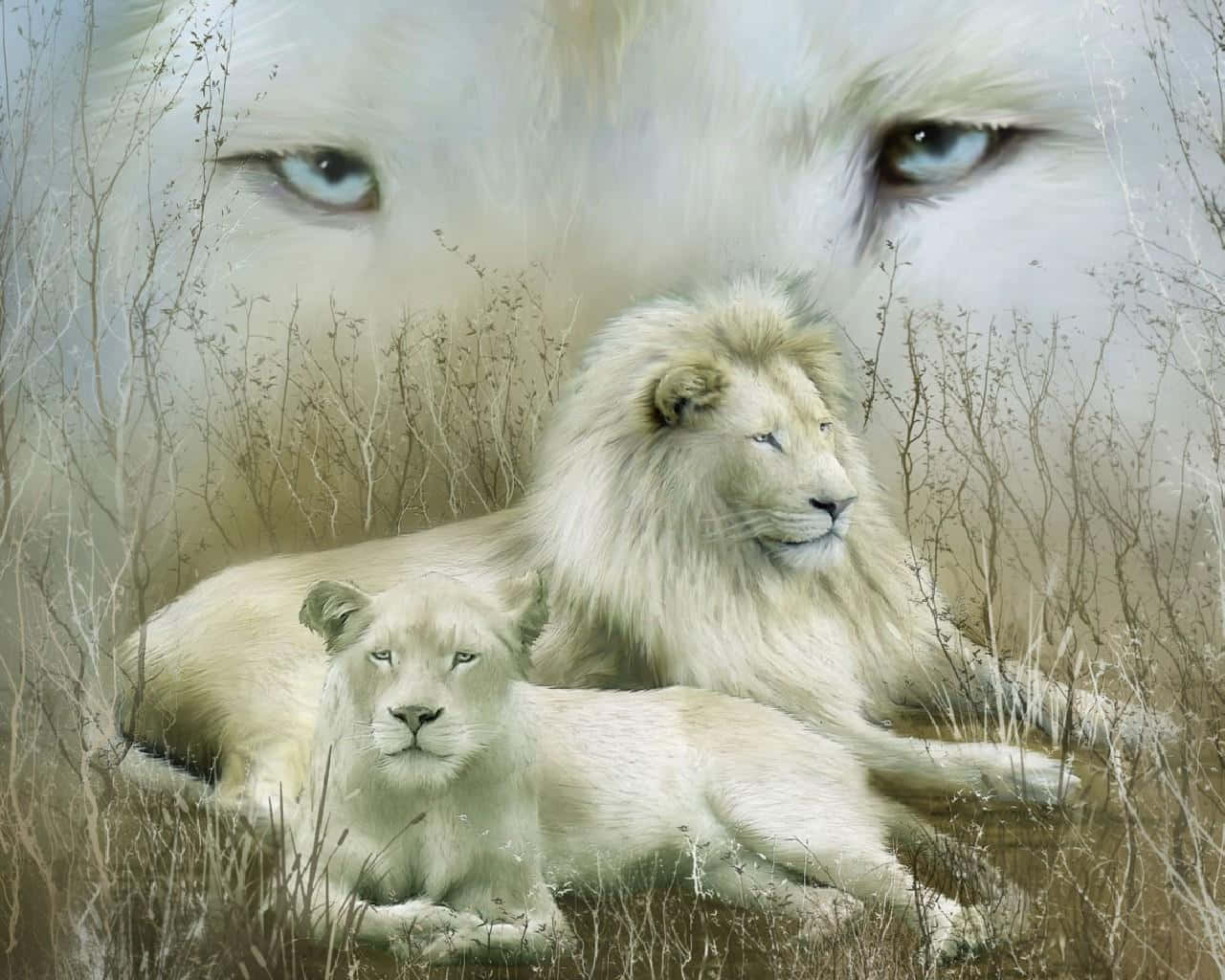 Lions 桌布 壁紙 — 兩隻白獅在乾草中休息，背景迷霧中有一隻較大白獅的臉在注視著。