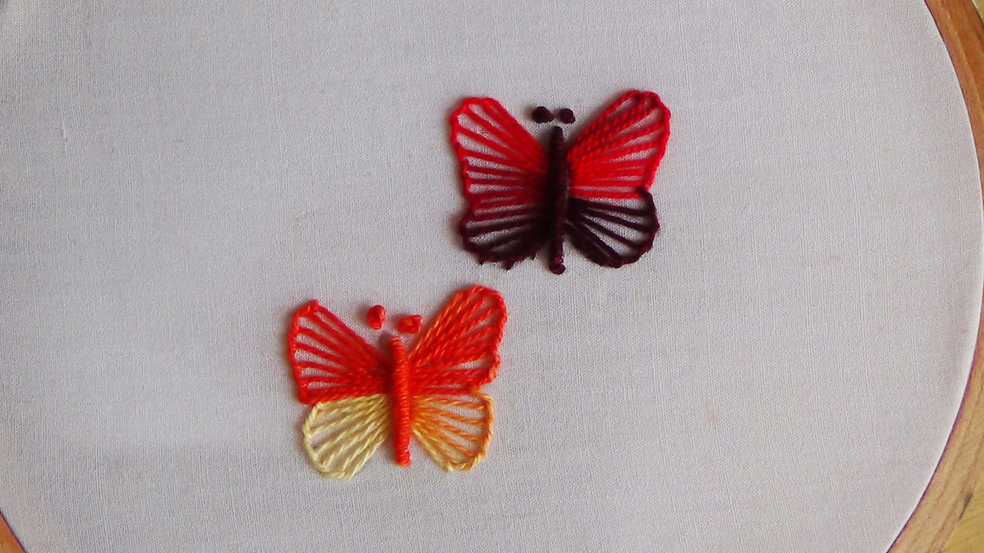 木框內白色布料上的兩隻彩色刺繡蝴蝶。 — 唯美蝴蝶動圖 壁紙