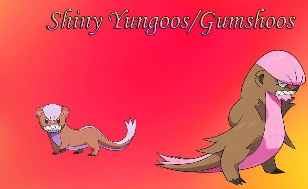 Pokémon Shiny Yungoos 壁紙 — 兩隻閃亮的Yungoos和Gumshoos並排站在漸變紅橙色背景上，上方有文字。