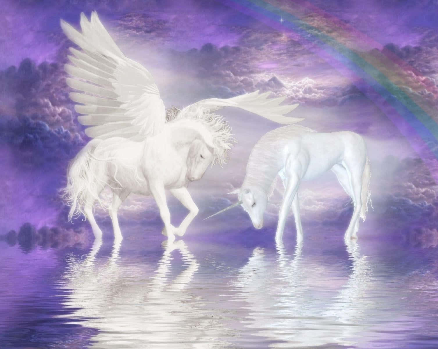 3d Unicorn 桌布 壁紙 — 兩隻雄偉的白色有翼獨角獸站在神秘紫色池塘中，背景是彩虹和星空。