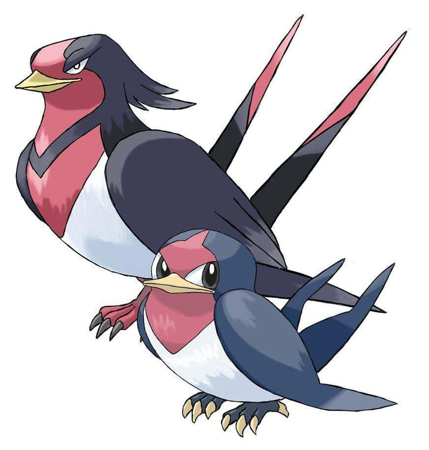 Pokemon 桌布 壁紙 — 兩隻風格化的鳥類寶可夢，擁有鋒利的翅膀和紅色點綴，在純白色背景上動態擺姿勢。