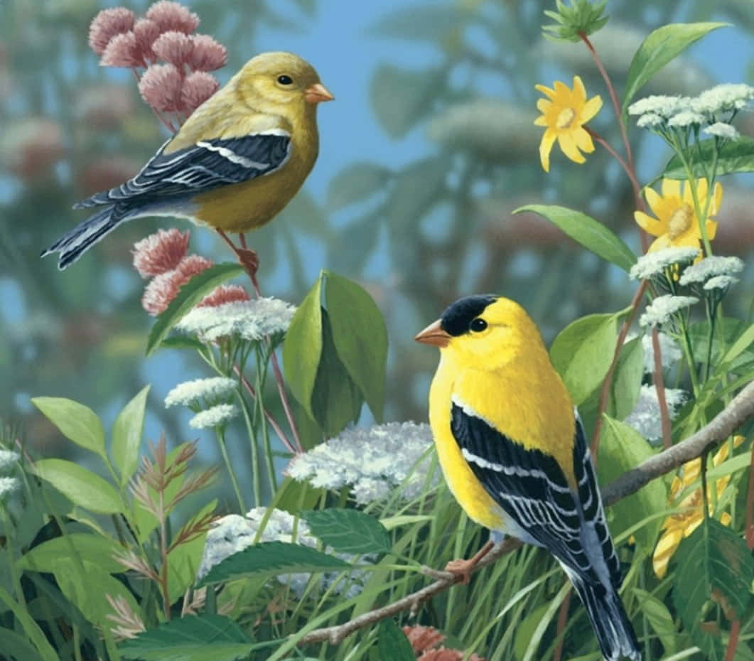 Spring Birds 桌布 壁紙 — 兩隻鮮黃色黑翼鳥棲息在綠葉和色彩繽紛的花朵之間，背景是柔和藍天。
