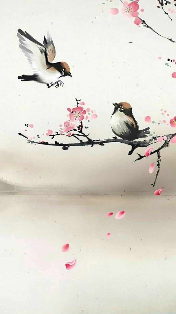 兩隻鳥在櫻花枝條附近，花瓣飄落