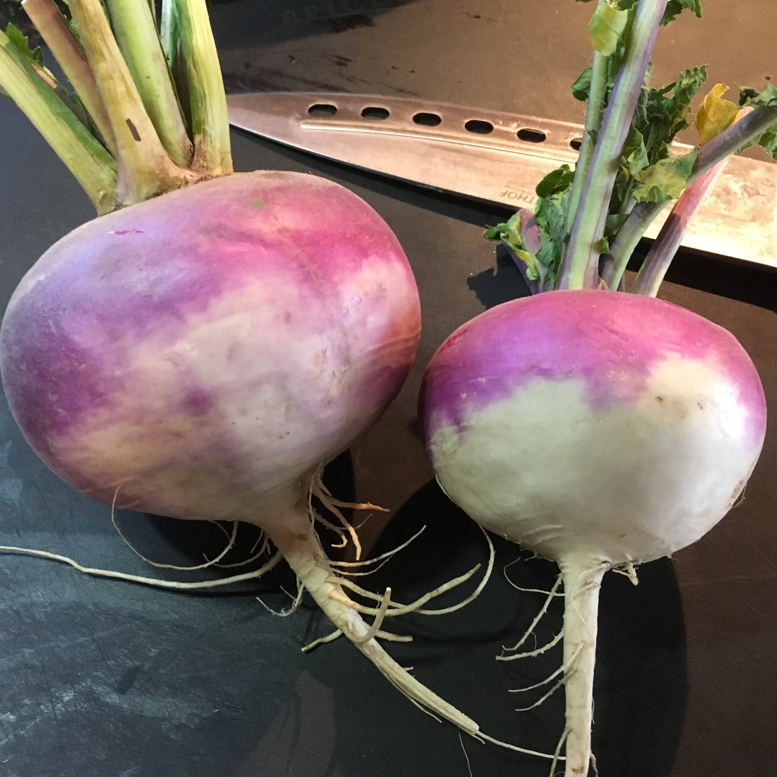 兩顆蘿蔔與鋒利刀具 壁紙 — 兩個新鮮的紫白色蘿蔔，帶有綠色莖，放在深色表面上，旁邊有一把廚房刀。