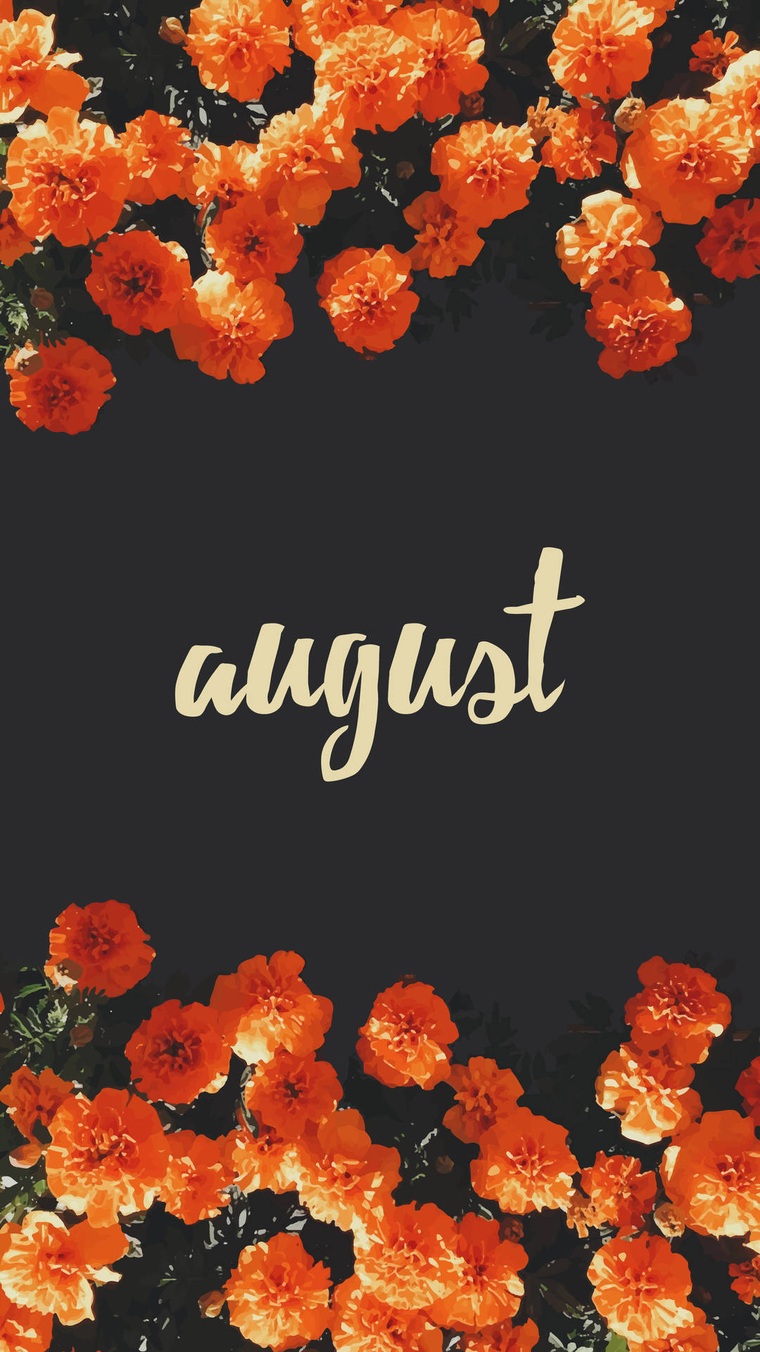 橙色萬壽菊點綴深色背景，並以金色字體寫上august一詞。