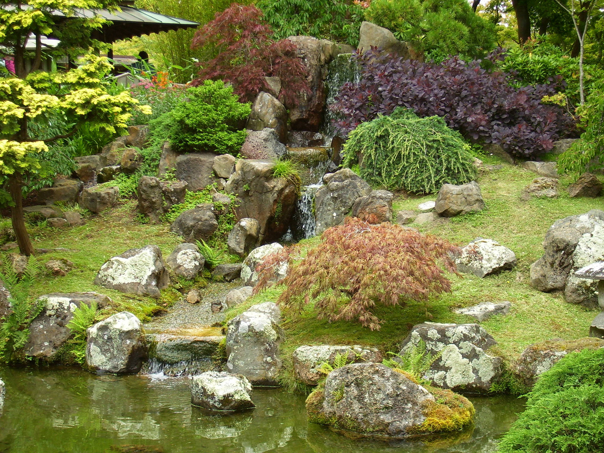 日本花園，有瀑布、岩石、苔蘚和池塘周圍色彩繽紛的樹葉。