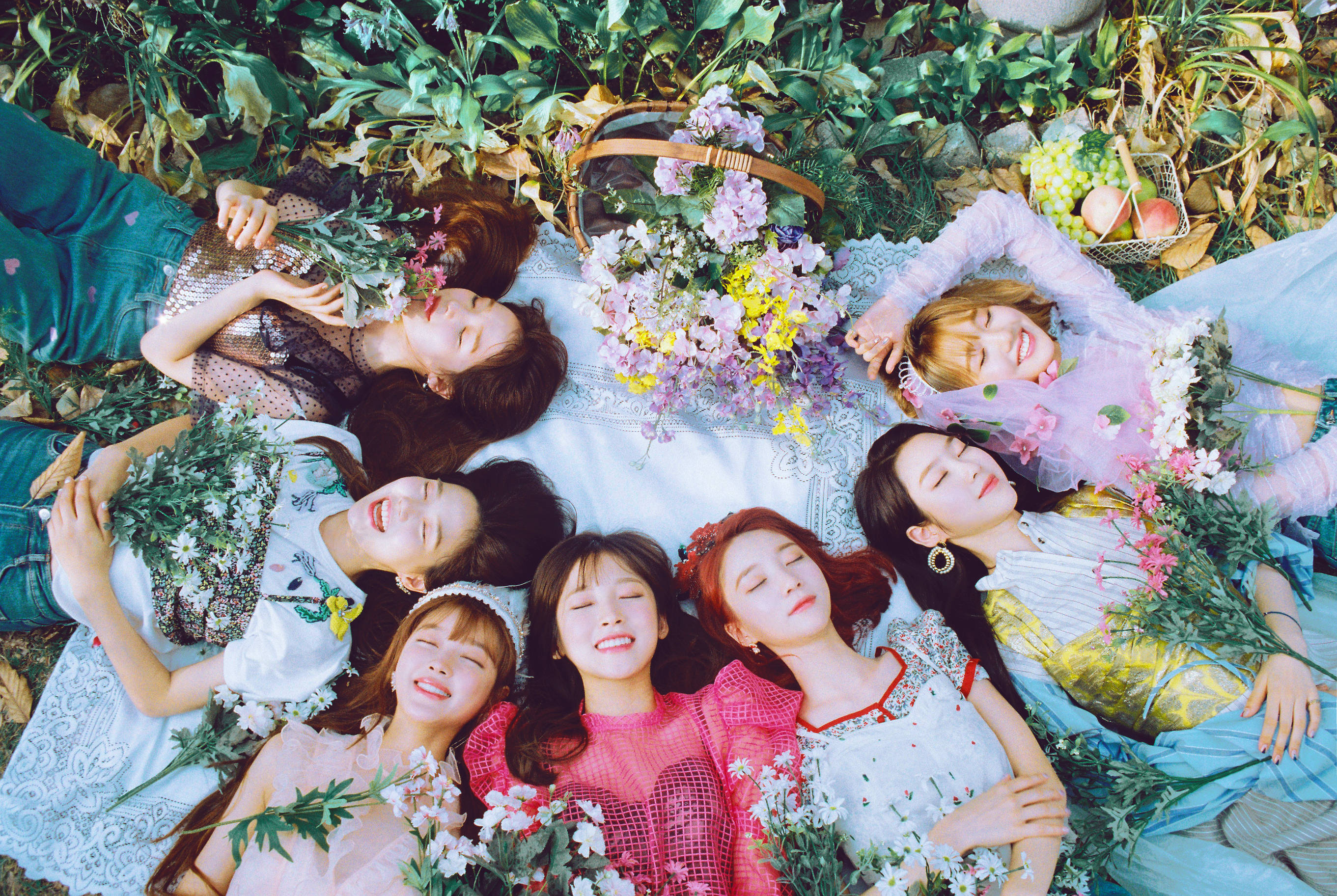 Oh My Girl《Remember Me》 壁紙 — 六位年輕女性躺在花卉圖案的毯子上圍成一個圓圈，周圍環繞著茂密的綠色植物和新鮮水果和鮮花的籃子。
