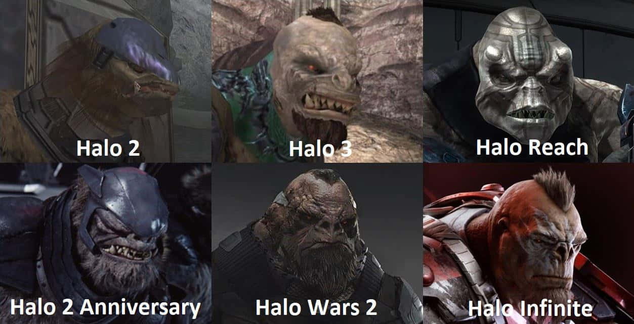Halo Brutes 桌布 壁紙 — 六個來自不同作品的威脅性Halo遊戲角色以網格顯示，名稱在下方。