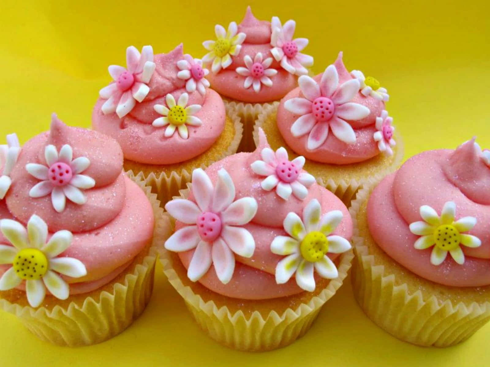 Pink Cupcakes 桌布 壁紙 — 六個帶有粉紅色糖霜和白色雛菊的杯子蛋糕，放在明亮的黃色背景上。
