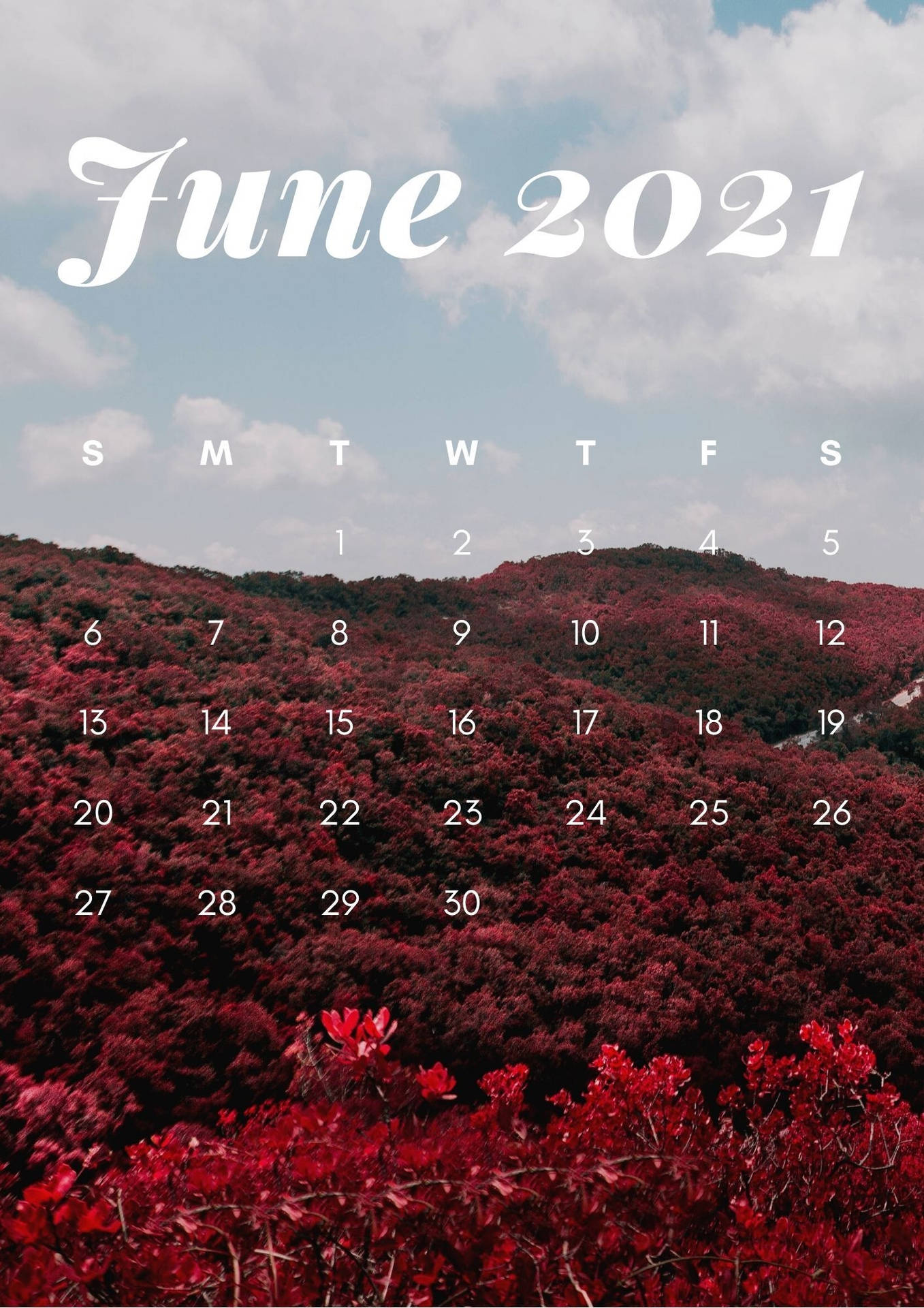 2021年6月日曆，紅色森林山脈背景。