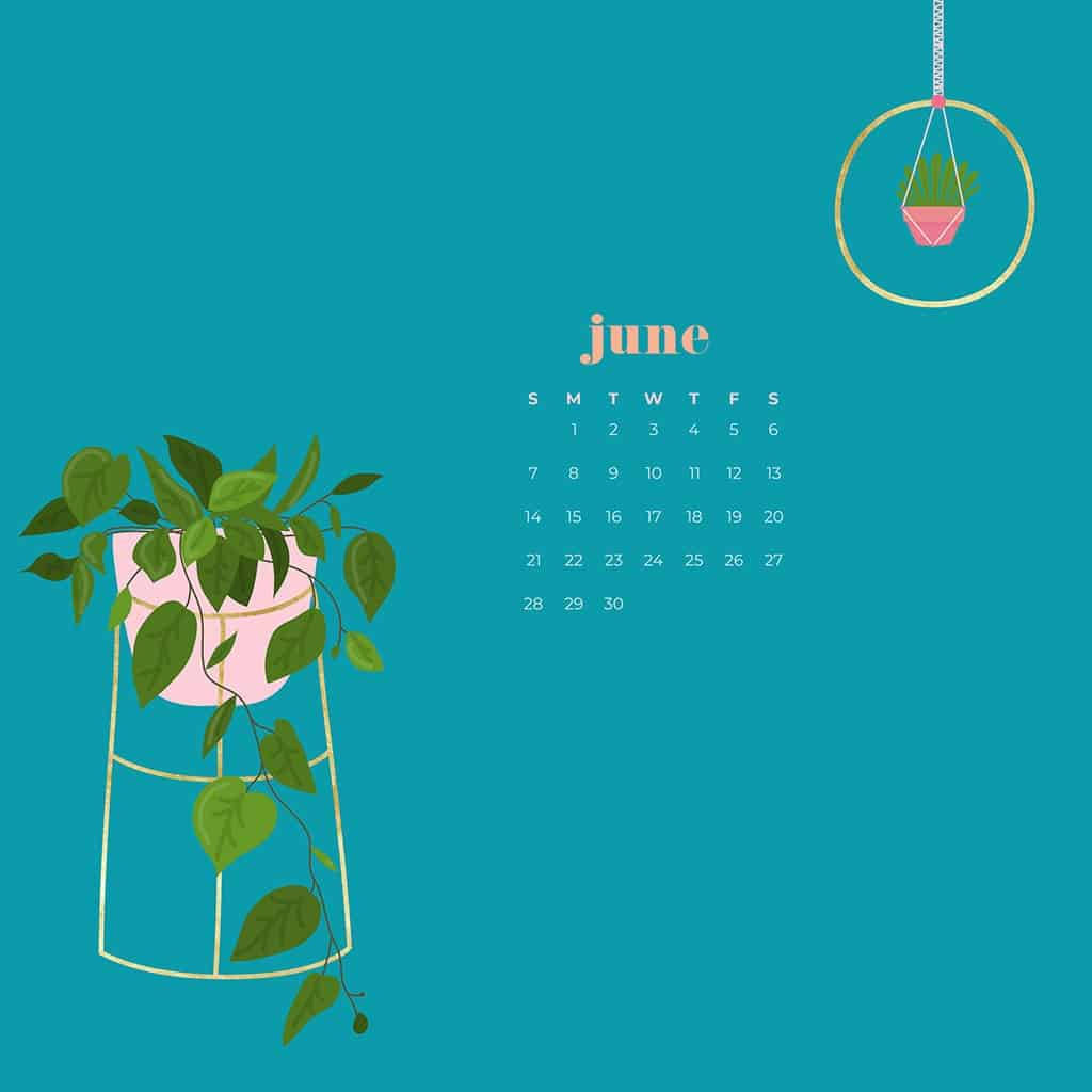 六月日曆，在青綠色背景上有盆栽植物。