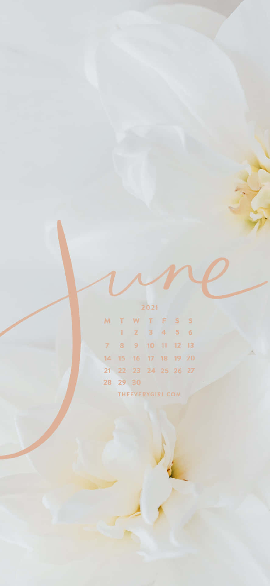2021年6月日曆，蜜桃色文字在白色花卉背景上。
