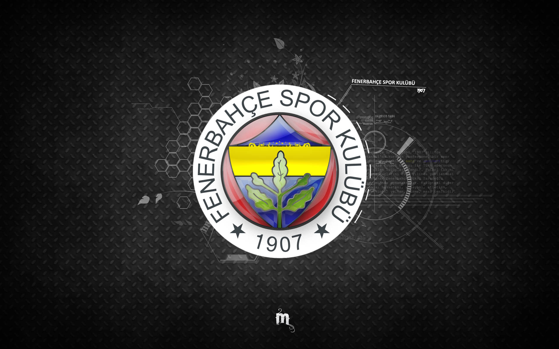 帶有球隊顏色和成立年份1907的Fenerbahçe Spor Kulübü標誌，位於深色紋理背景上。