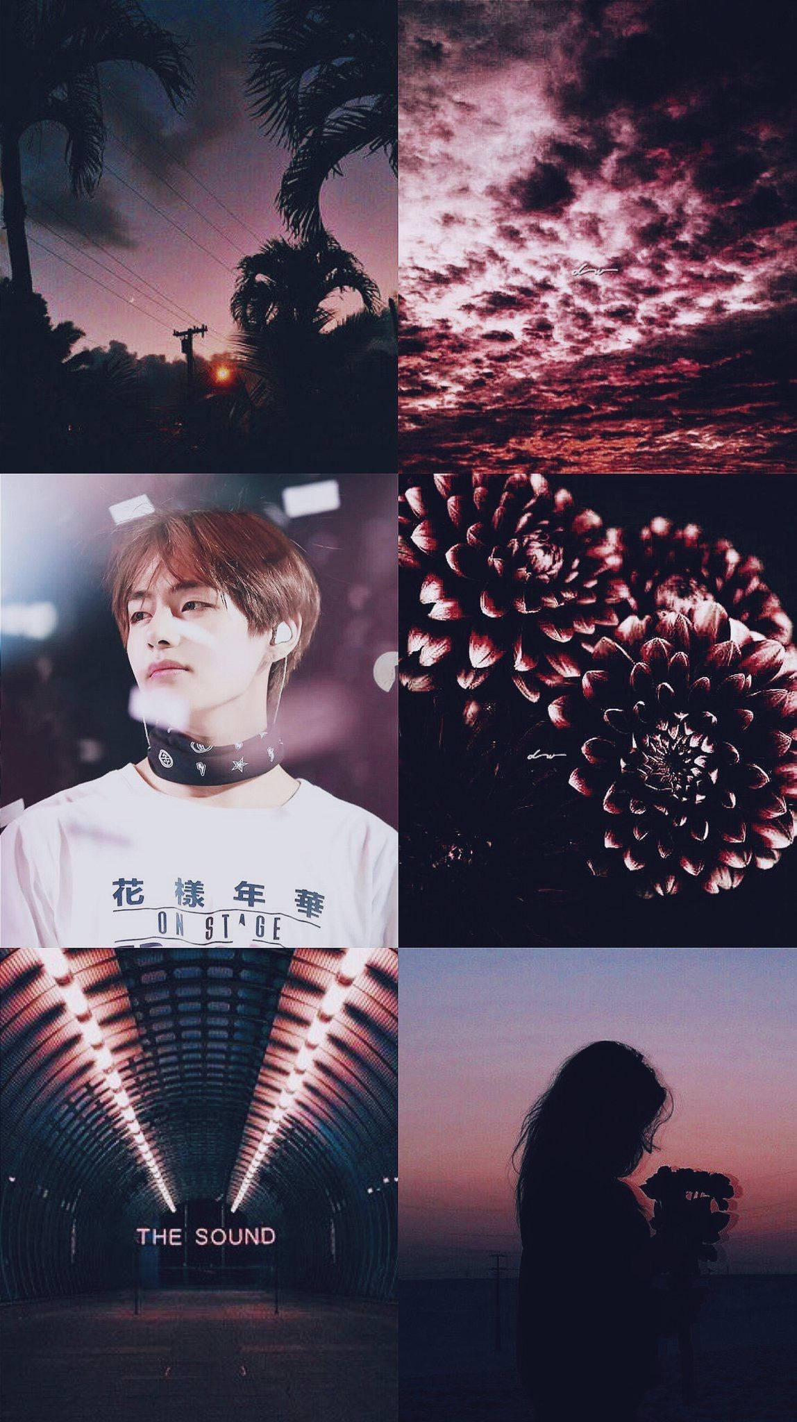 Kpop Aesthetic 桌布 壁紙 — 六面板拼貼畫，描繪黃昏時的棕櫚樹、戲劇性的紅雲、穿白襯衫的人、深色花朵、明亮的隧道，以及日落時手持花朵的剪影。