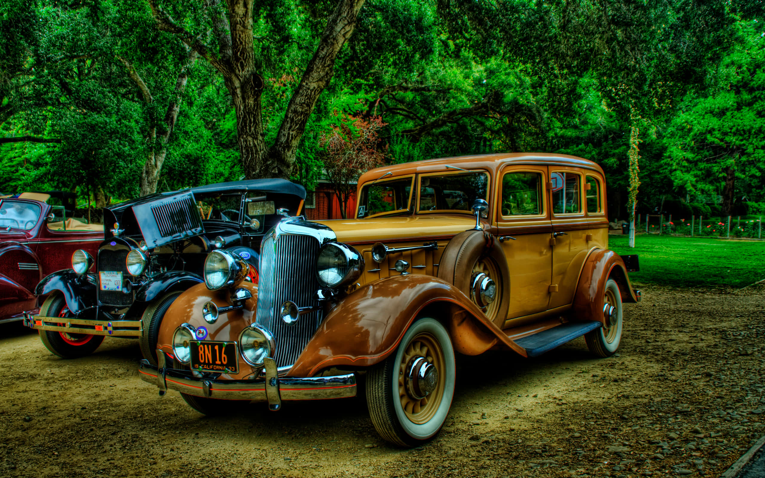典雅的Packard Twelve古董車 壁紙 — 閃亮鍍鉻和豐富木紋鑲板的復古汽車停泊在綠樹成蔭的泥路上。