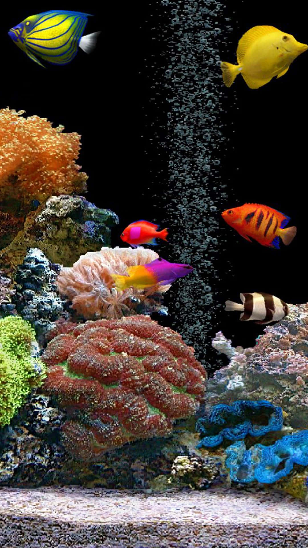 冒泡水族箱魚缸背景 壁紙 — 色彩繽紛的熱帶魚在黑暗的水族箱中，於多彩的珊瑚 formations 之間游動，氣泡上升。