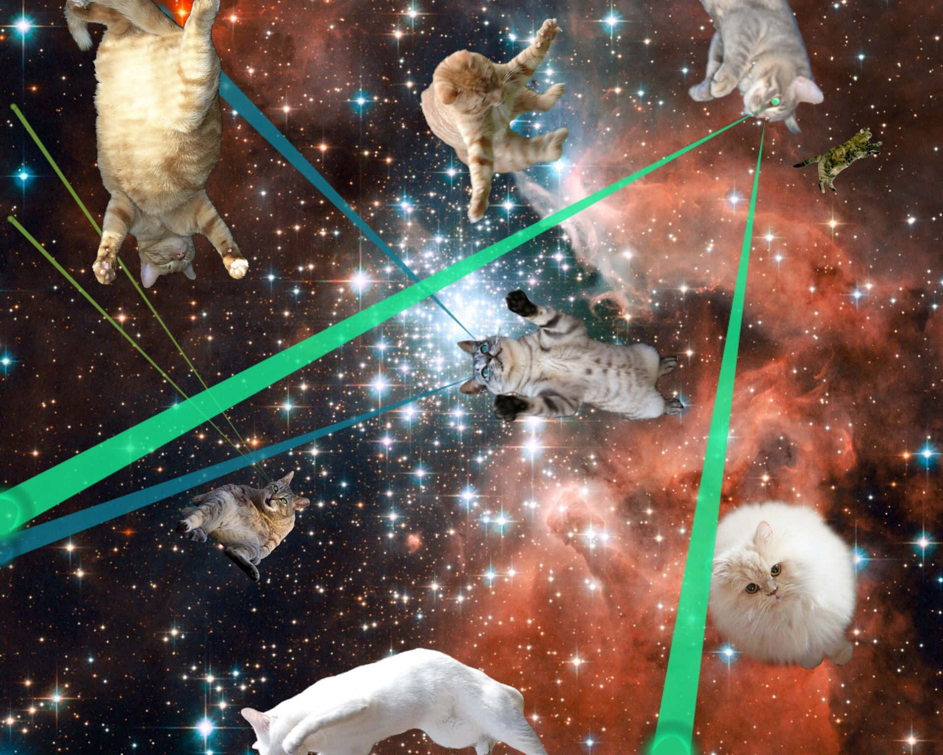 冒險、探索，現在連貓咪也能進太空！ 壁紙 — 貓咪在佈滿星星的星雲中漂浮，在零重力下向宇宙雲發射綠色激光。