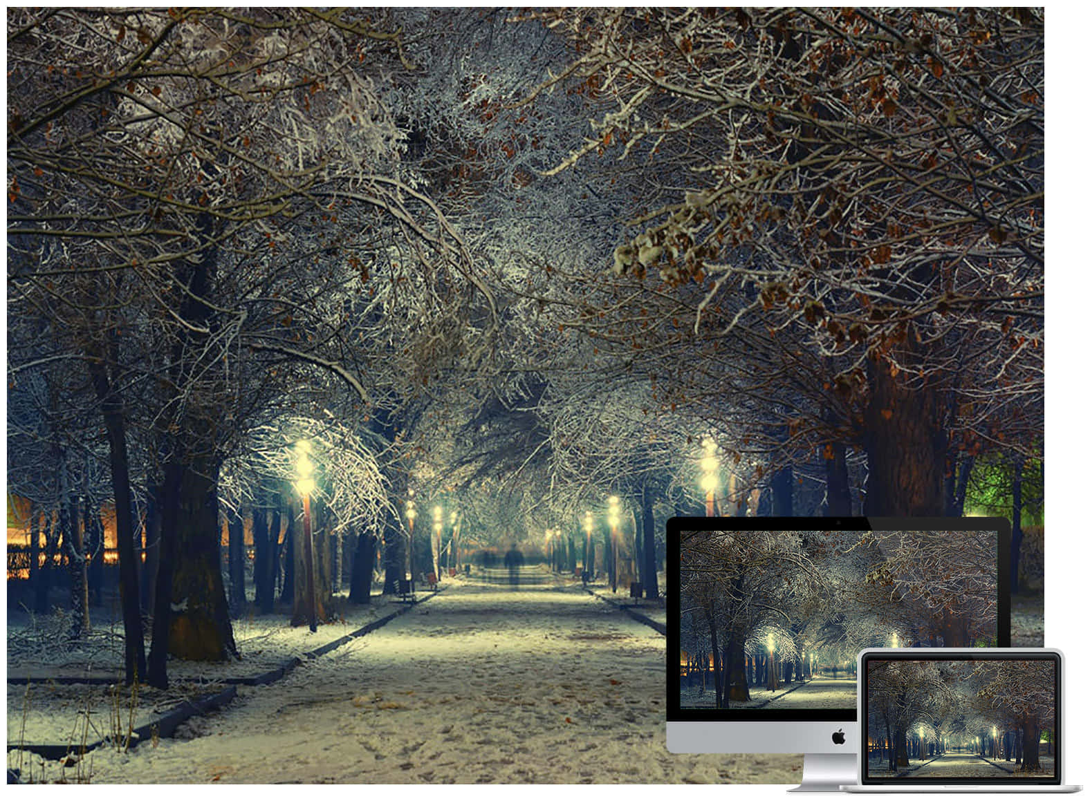 夜晚積雪公園小徑，閃爍街燈與霜凍樹木。