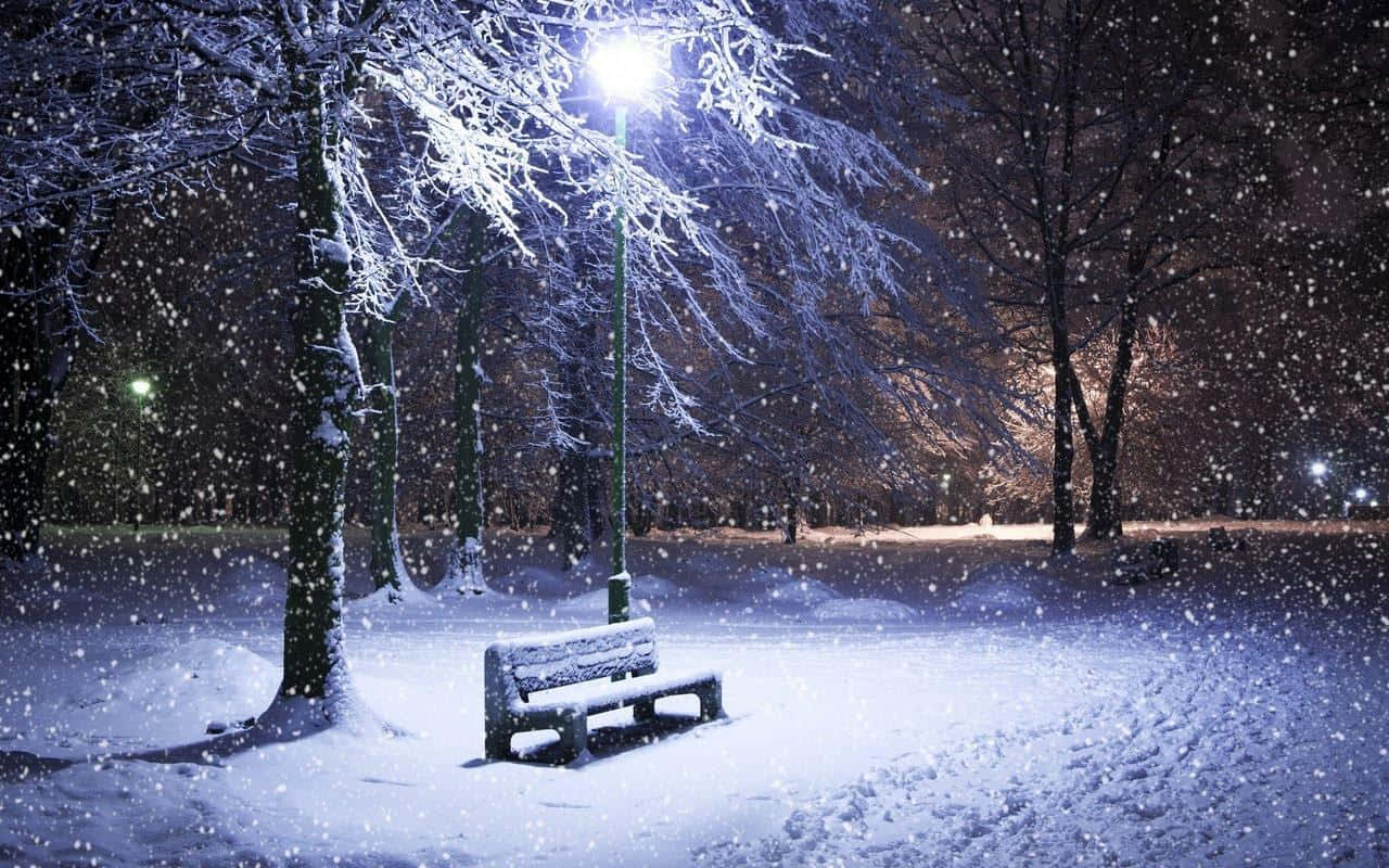 積雪長椅在夜間雪地公園中被街燈照亮