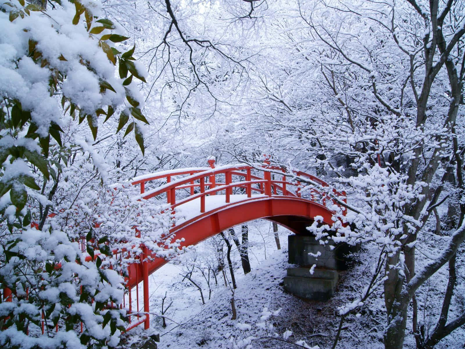 冬季雪林中的紅色拱橋
