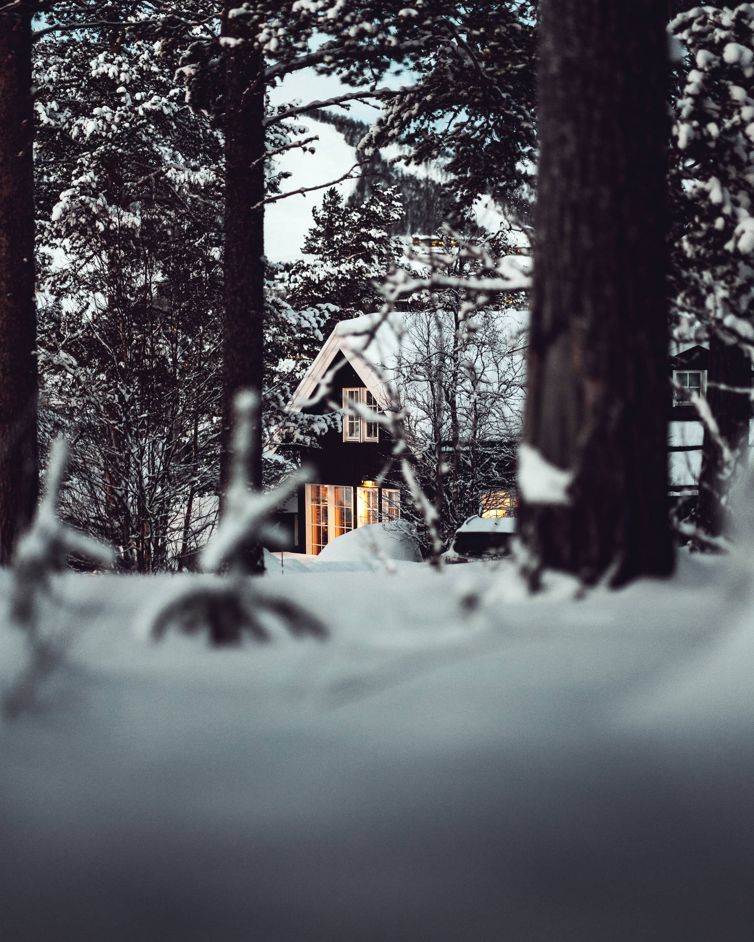 冬季森林中積雪覆蓋的小屋，窗戶透出溫暖的燈光。
