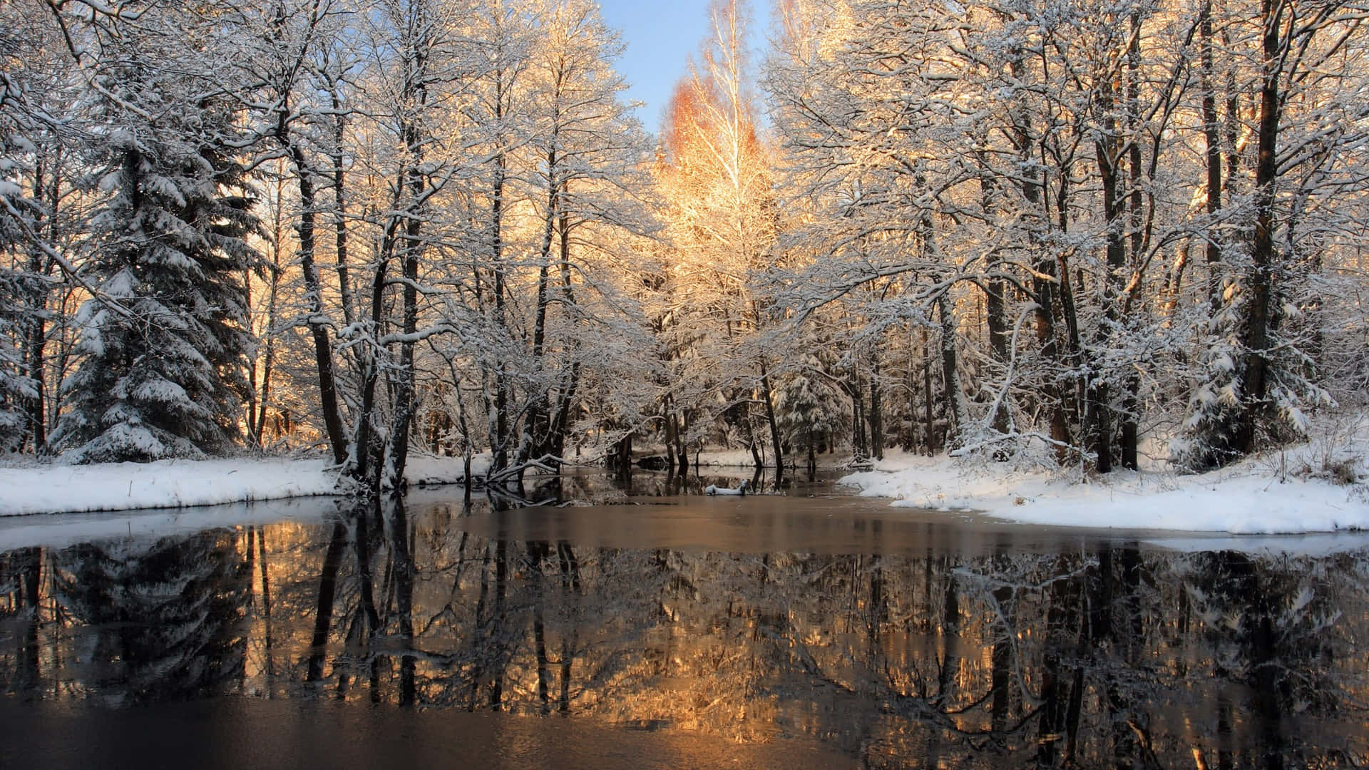 冬季仙境 壁紙 — 陽光穿過積雪的樹木，在金色時刻的平靜冬日河流中閃耀倒映。