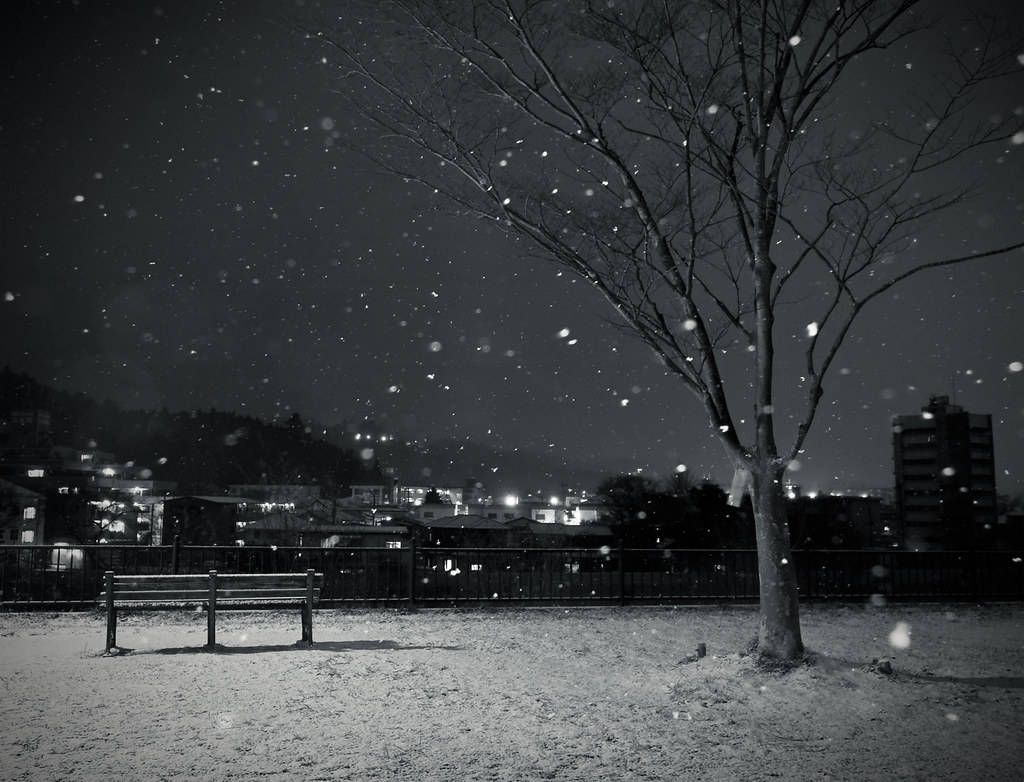 夜間城市中，雪花落在光禿禿的樹下的長椅上。