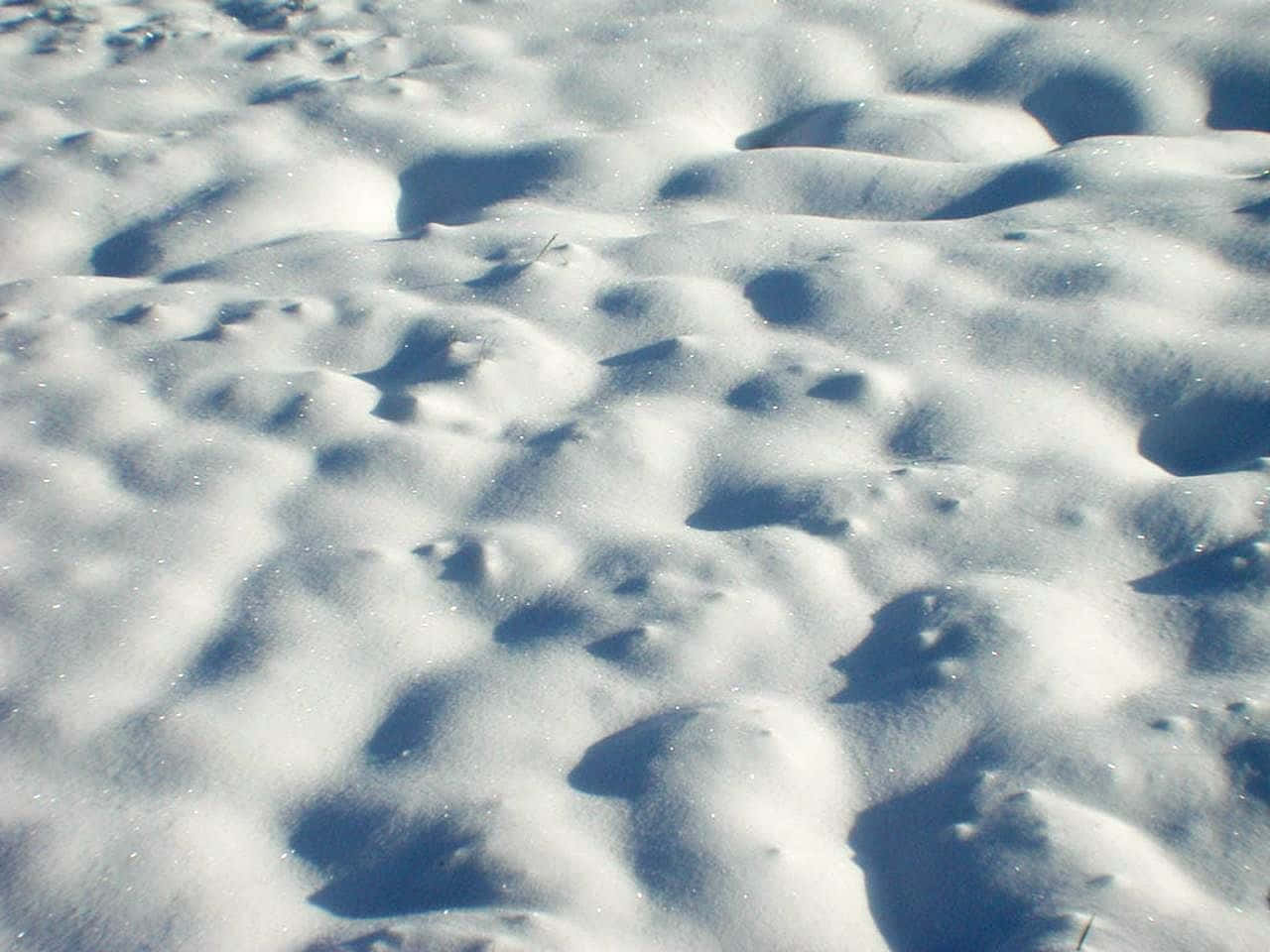 陽光照耀的雪堆在冬季投下深藍色陰影的特寫。