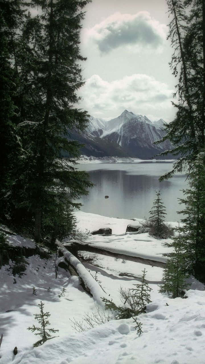 白雪覆蓋的山間湖泊，四周是常青樹，天空多雲。