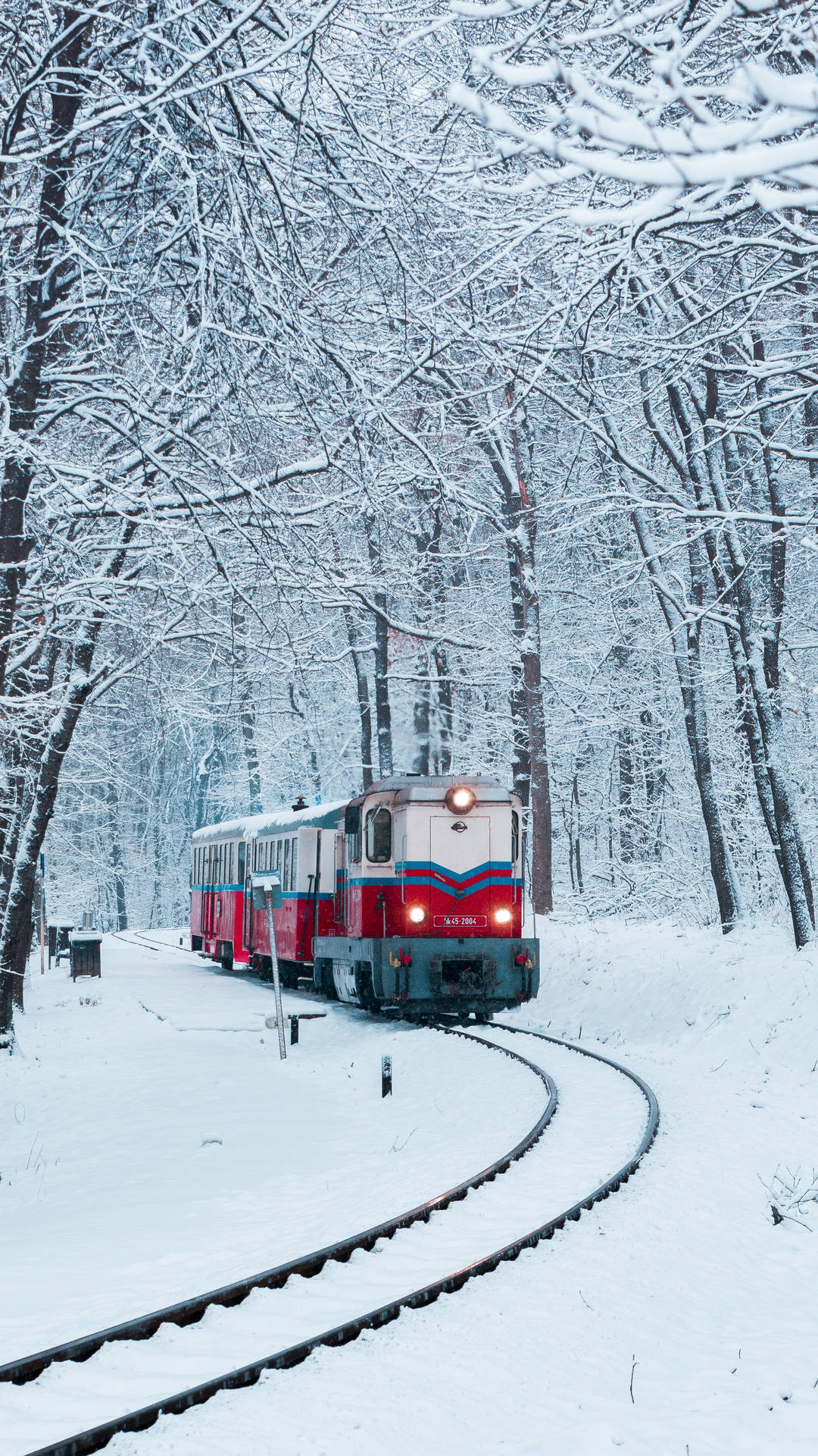冬日裡，一列紅白相間的火車在白雪覆蓋的森林中行駛。