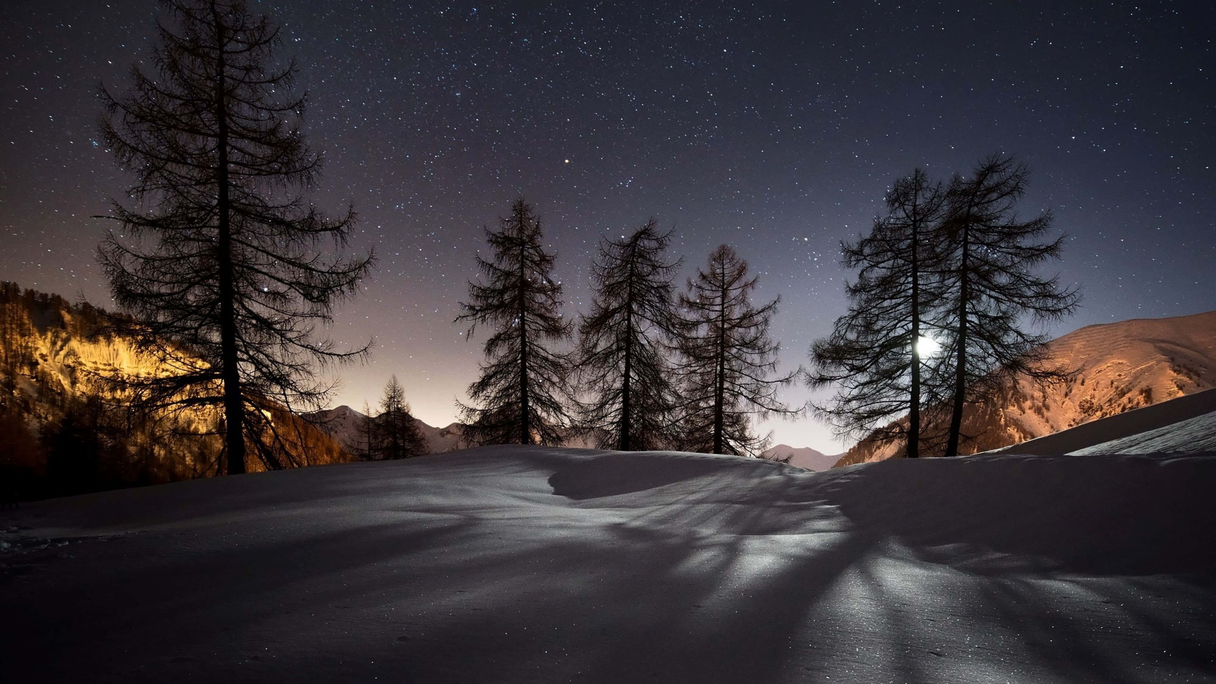 冬季仙境即將展現 壁紙 — 夜晚被雪覆蓋的山脊，剪影樹木在明亮的月亮和星空下投下長長的影子。