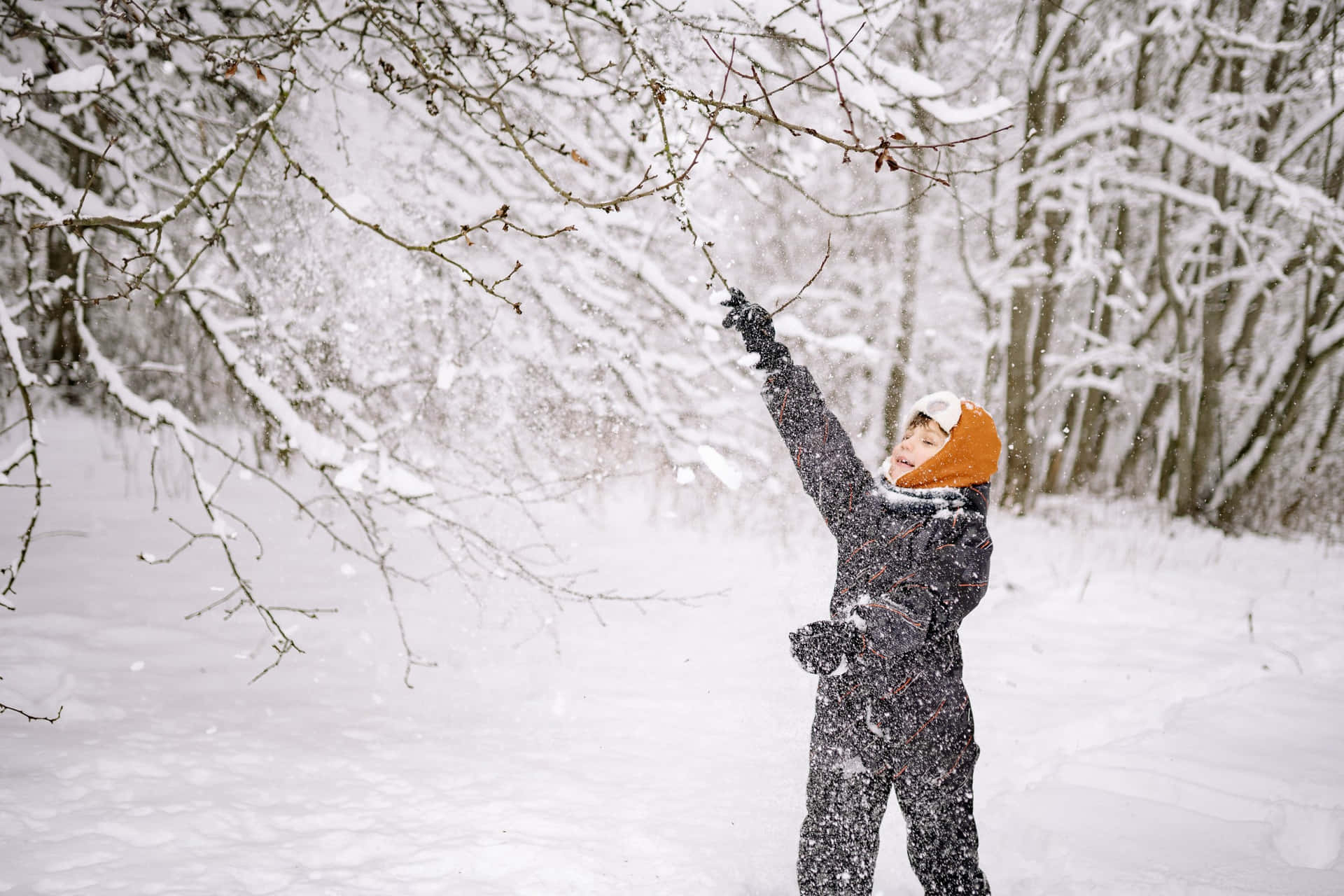 穿著雪衣的孩子在冬季森林中觸摸被雪覆蓋的樹枝