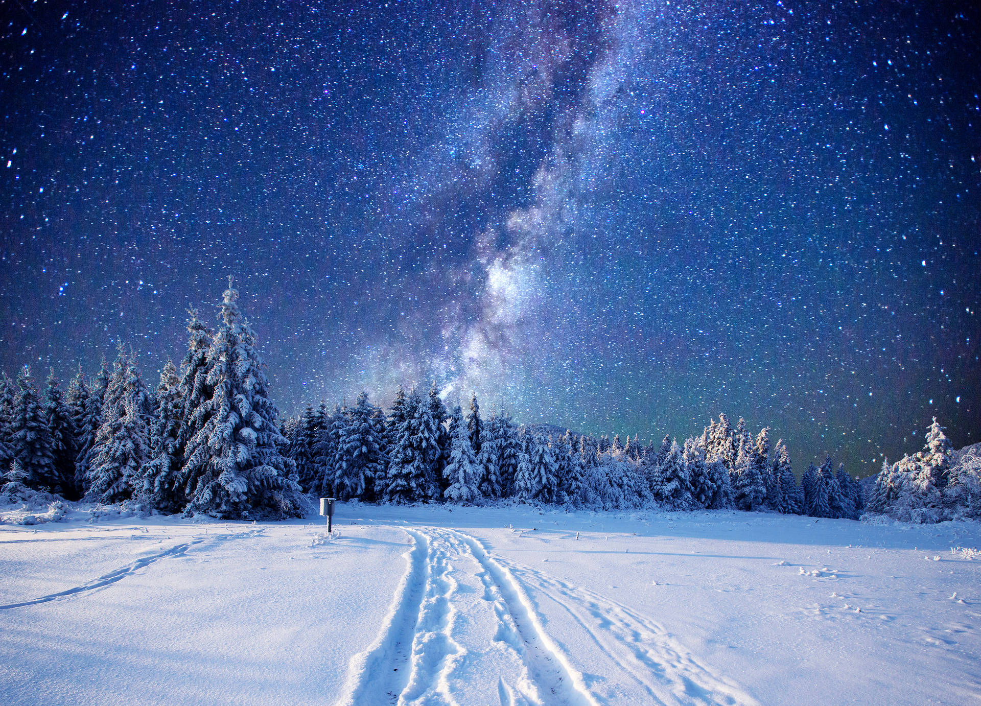 積雪森林小徑，星空下可見銀河