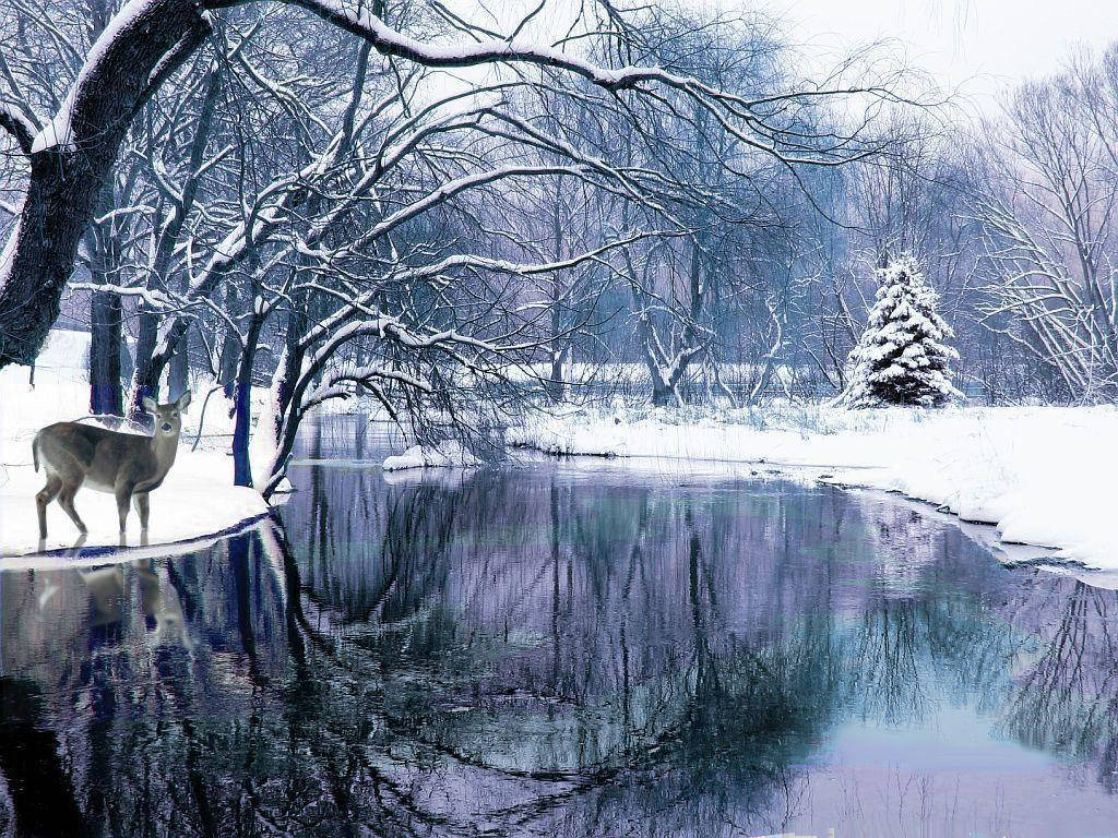一頭鹿站在雪河附近，光禿的樹木倒映在水中。