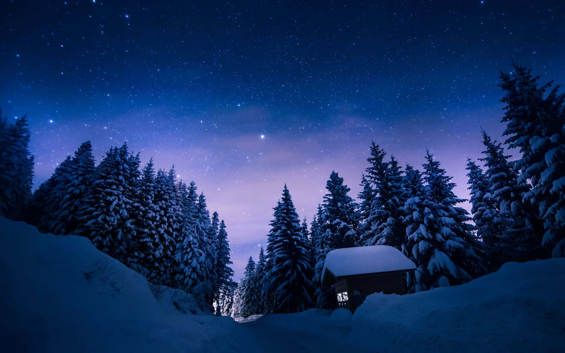 星空下冬季森林中的雪屋