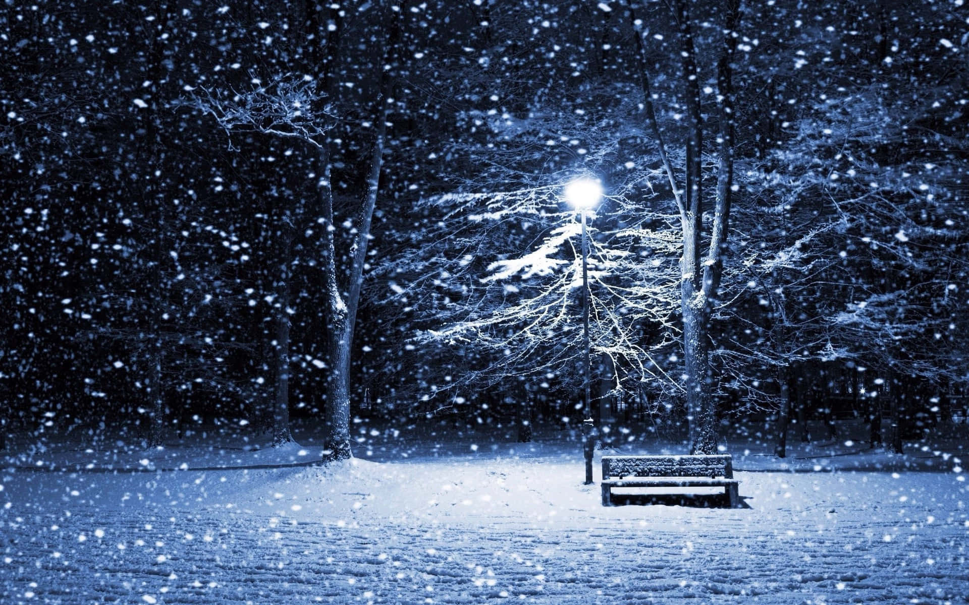 夜晚，積雪覆蓋了公園長椅，下方是明亮的街燈。