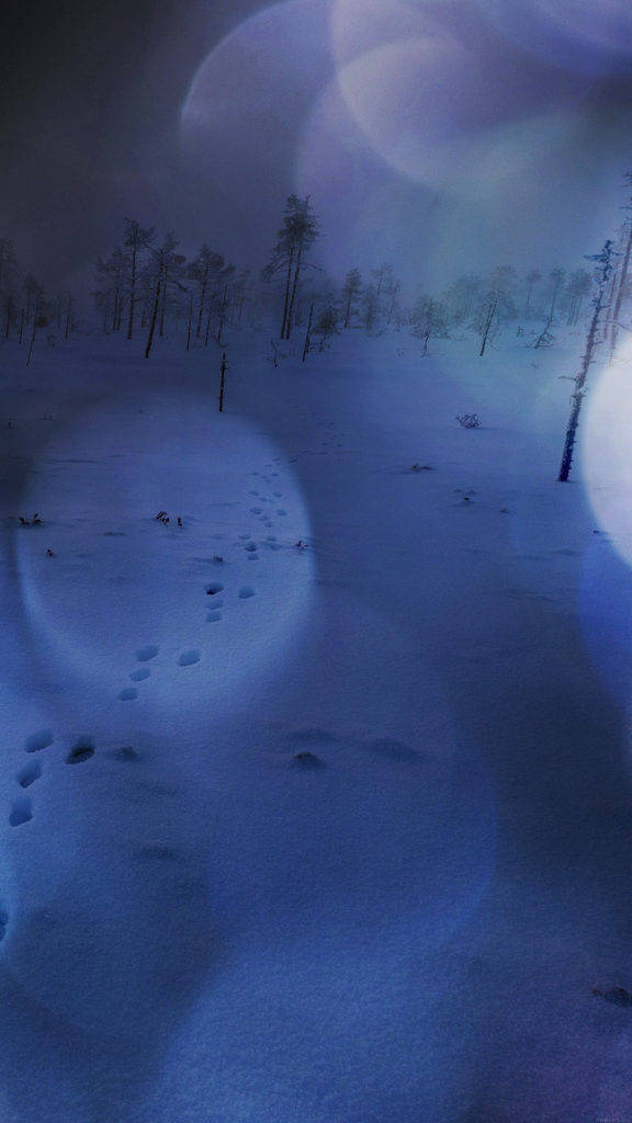 冬季季節自然 iPhone 背景 壁紙 — 孤獨的腳印蜿蜒穿過雪地森林，在暮色天空下帶有鏡頭光暈。