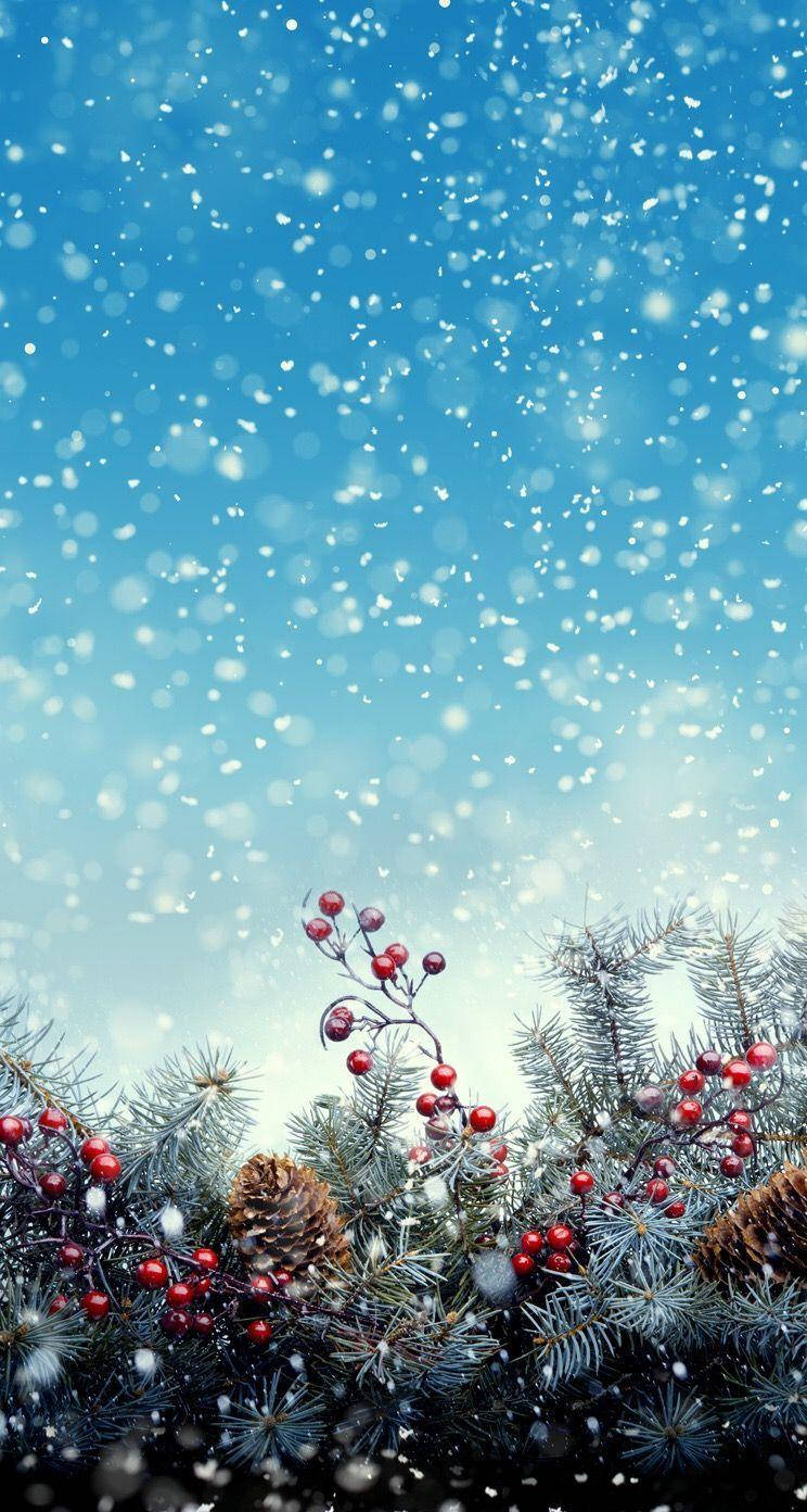 節日冬季樹枝，帶有紅色漿果和松果，在飄雪下。