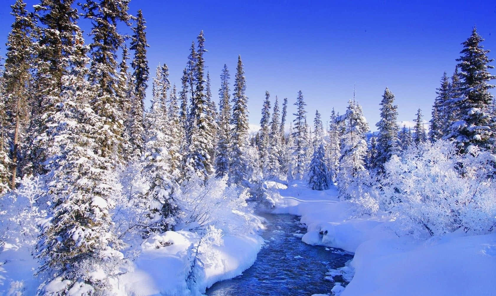 白雪覆蓋的松樹林，在清澈藍天下有一條流淌的河流。