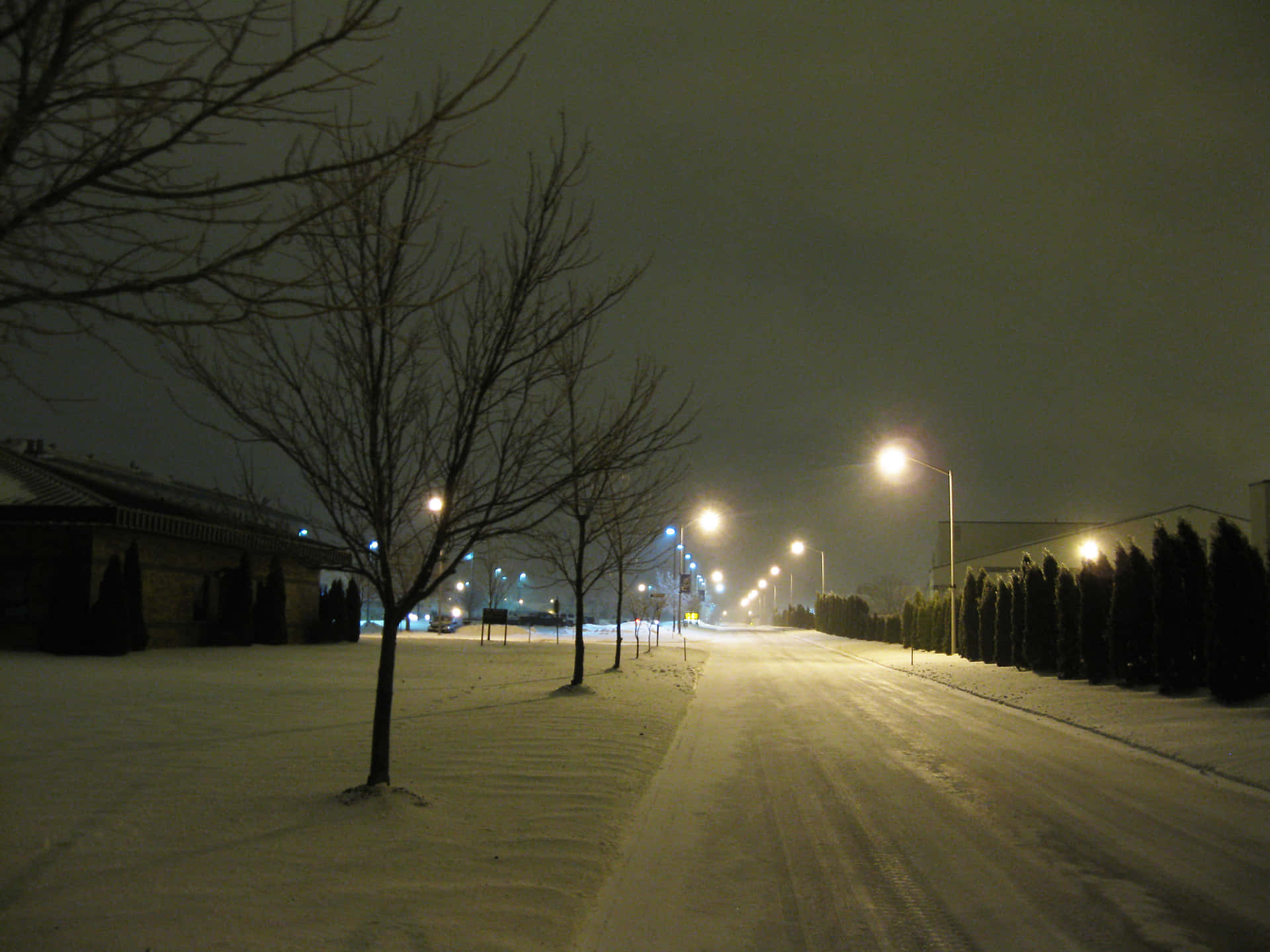 雪夜的城市街道，光禿禿的樹木和發光的路燈。