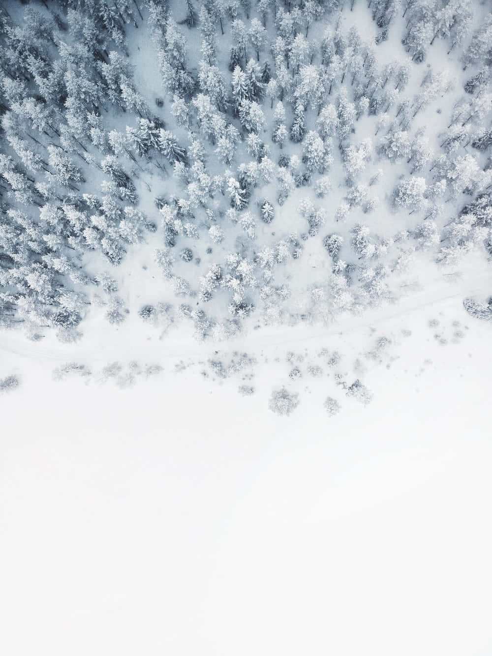 Minimalist Phone 桌布 壁紙 — 冬季森林中白雪覆蓋的松樹的鳥瞰圖，一條蜿蜒的小徑穿過白色廣闊地帶。