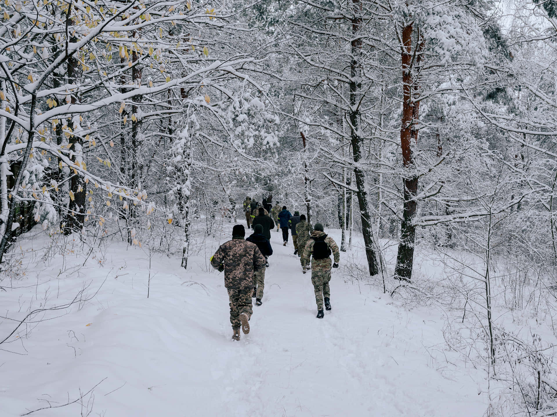士兵在雪地森林中穿著迷彩裝備行走。