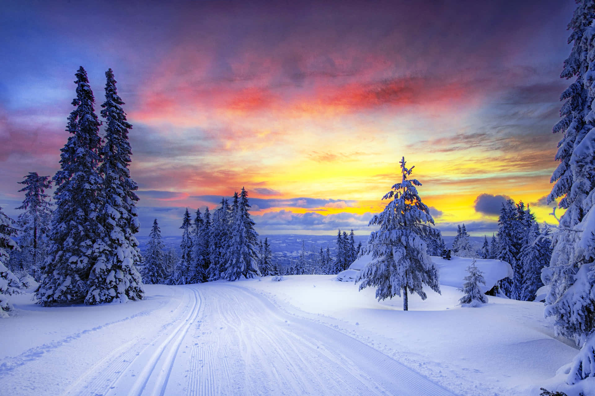 色彩繽紛的夕陽天空下，松樹林立的雪地森林小徑