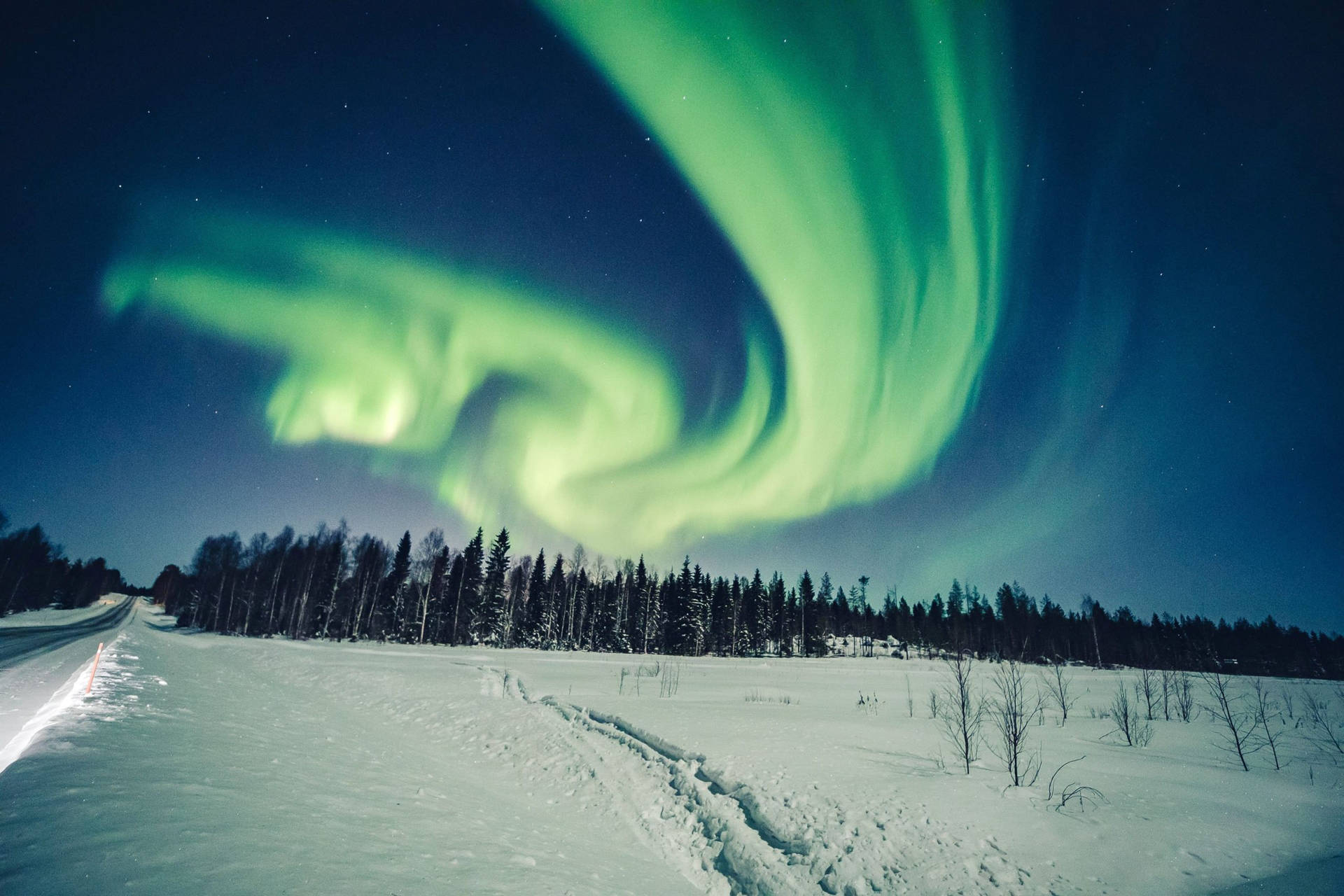 綠色北極光照亮星空夜空下森林和道路的雪景。