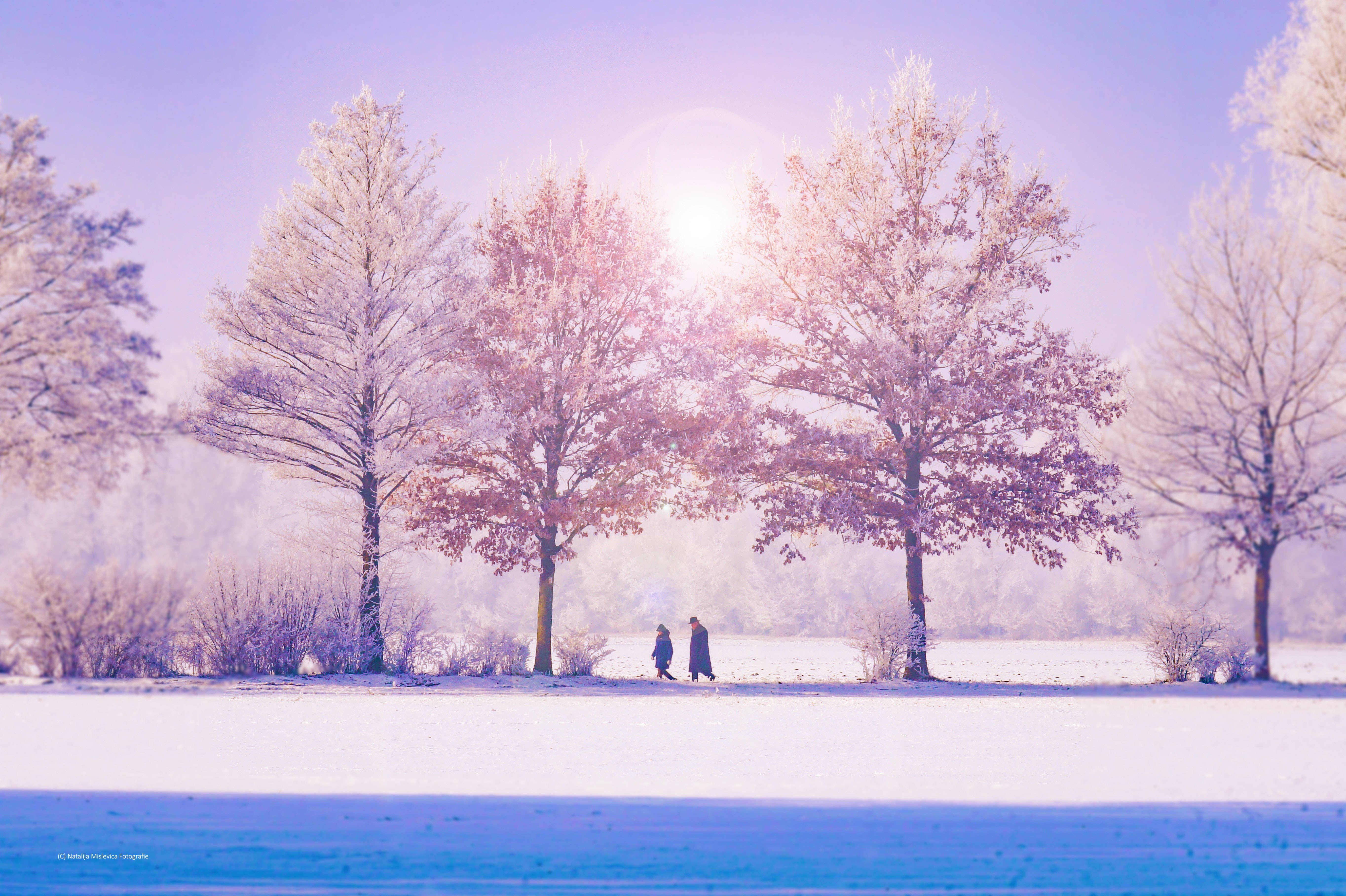 冬季樹林與天空 壁紙 — 兩個身影走過雪地，明亮的陽光穿過帶有粉紅色調的霜凍樹木。